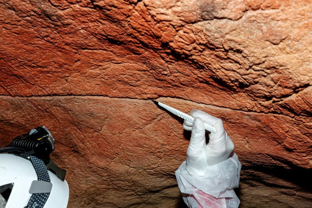 Ancient human DNA found on cave art for the first time