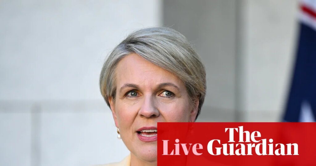 Australia politics live: paid parental leave ‘not safe’ with One Nation, Plibersek warns; Bragg says ‘we want more investors’ in housing market | Australia news