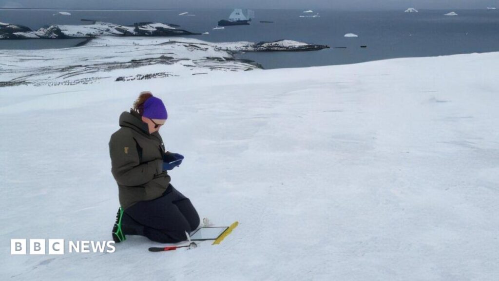 Bristol academic finds diverse algae on Antarctic adventure