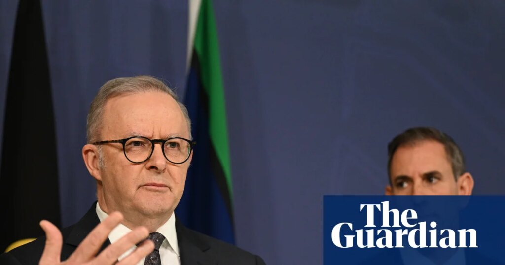 Critic of Labor’s tax changes deletes anti-immigration AI video reposted from rightwing nationalist account | Australian politics