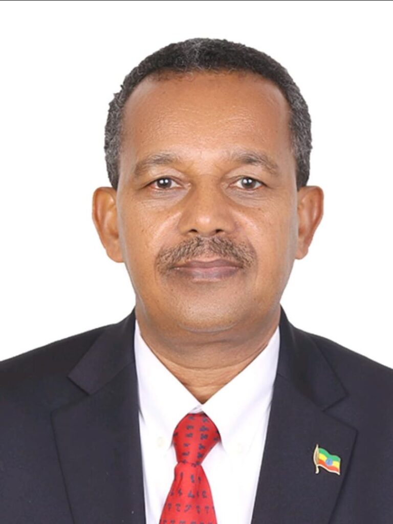 Ethiopian Envoy urges African leaders to strengthen democratic institutions