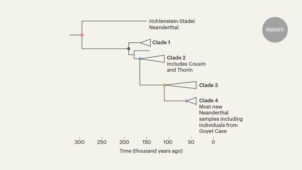 Genomic insights into the population dynamics and demise of Neanderthals