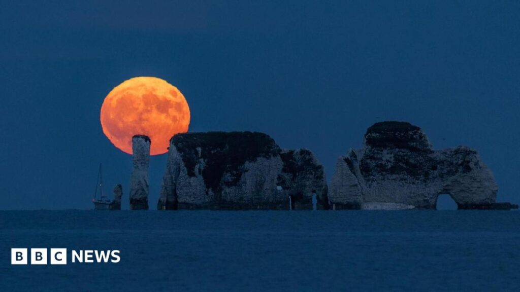 In pictures: Glowing Strawberry Moon snapped over the South