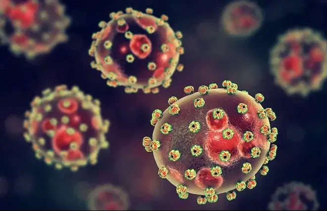 Lassa fever death toll hits 214 as fatality rate rises to 25% Lassa fever death toll hits 214 as fatality rate rises to 25%