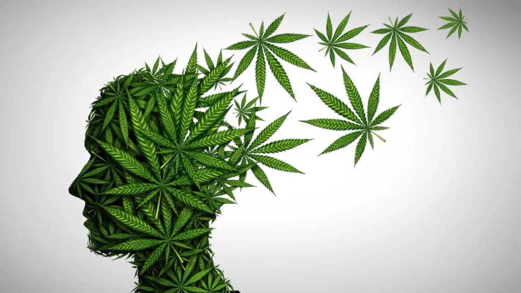 Massive study links teen marijuana use to double the risk of serious mental illness