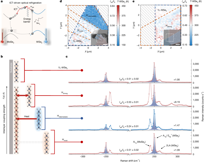 Optical cooling by interfacial charge transfer in 2D heterostructures Optical cooling by interfacial charge transfer in 2D heterostructures
