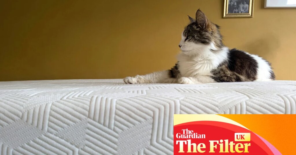The best mattresses in 2026: sleep better with our 14 rigorously tested picks | Sleep