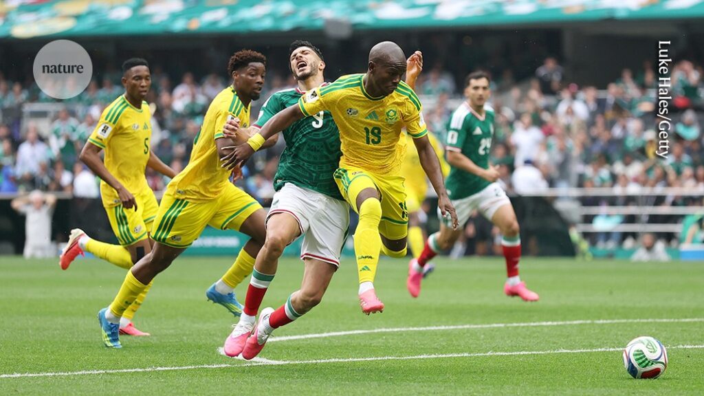 The surprising career parallels between footballers and researchers