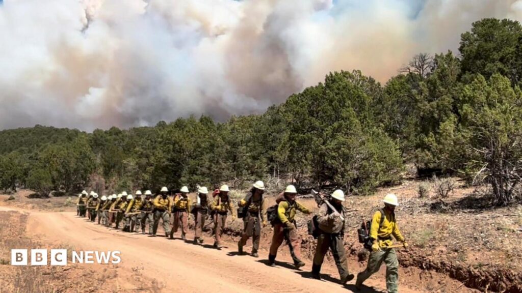 Three firefighters die battling huge wildfires in Colorado