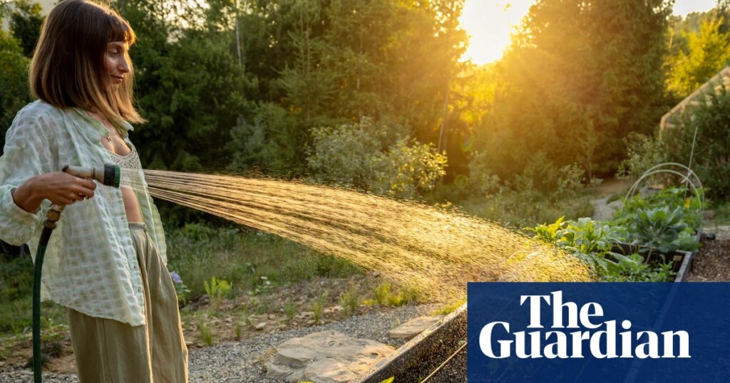 ‘Lawns don’t need watering!’ How to garden in a heatwave, from recycling bathwater to making the most of shade | Gardening advice