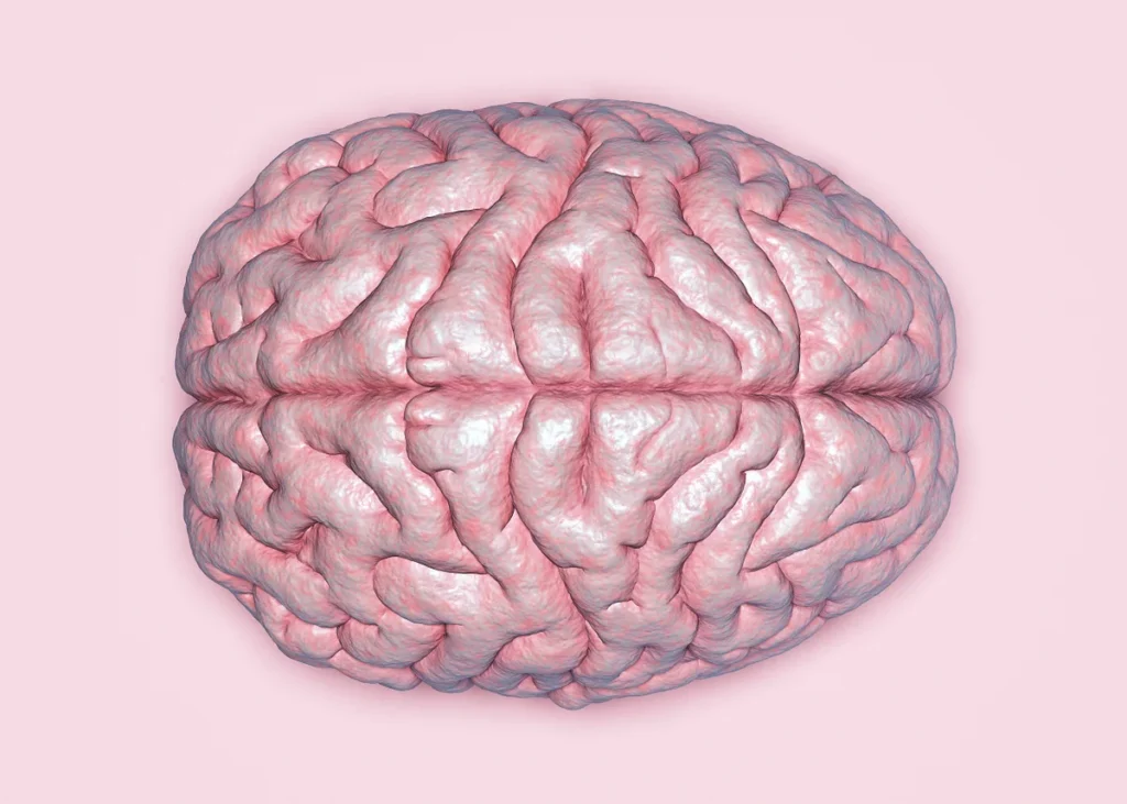 45% of dementia cases could be prevented
