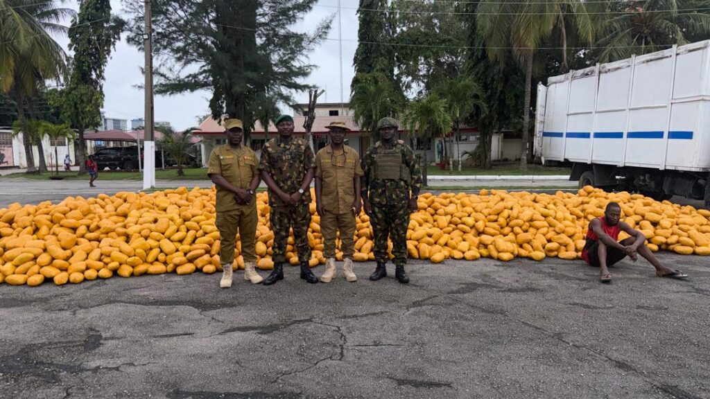 65 Battalion Troops Intercept Large Consignment of Illicit Drugs Along Lagos–Calabar Coastal Road – THISDAYLIVE