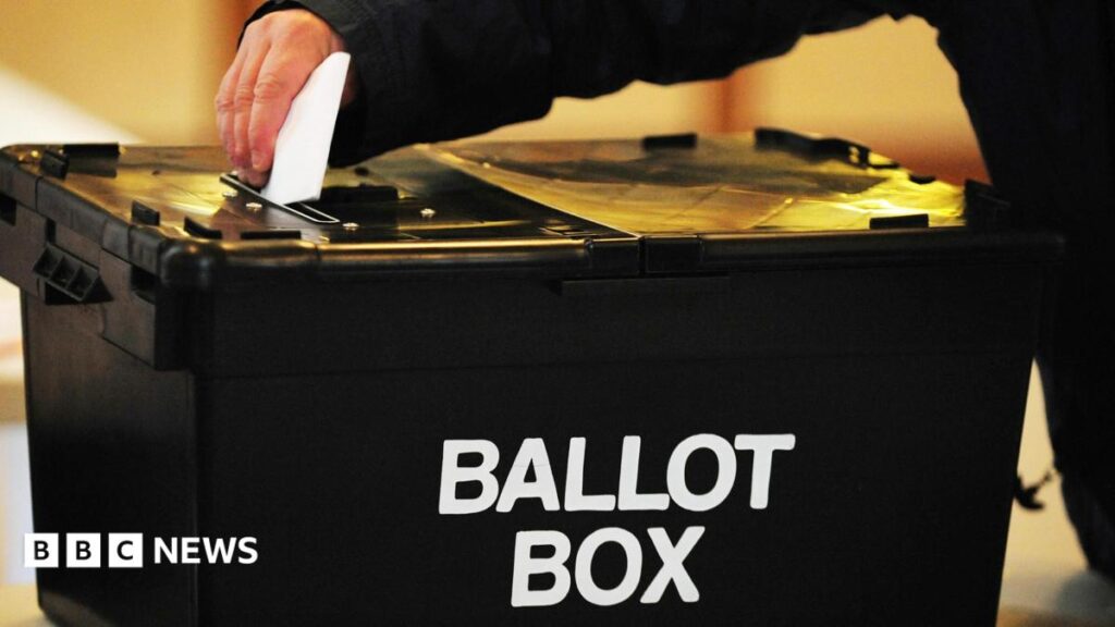 A bin, two foxes and a mystic: the candidates fighting Clacton A bin, two foxes and a mystic: the candidates fighting Clacton