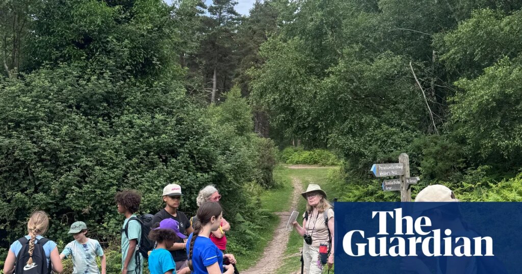 A family group walking holiday in Exmoor: steam trains, tree climbing and lashings of ice-cream | Family holidays A family group walking holiday in Exmoor: steam trains, tree climbing and lashings of ice-cream | Family holidays