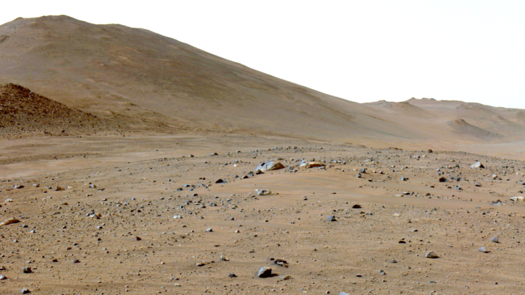 A martian rock has lots of carbon on it, and it’s not clear why A martian rock has lots of carbon on it, and it’s not clear why