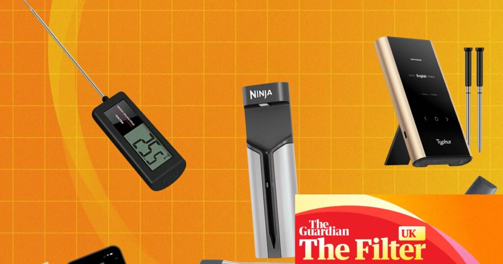 A meat thermometer transformed my cooking – here are nine of the best for roasts and barbecues | Meat