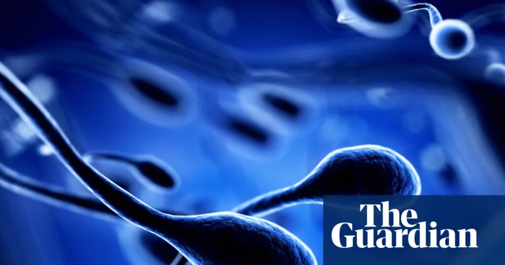 Air pollution linked to DNA changes in sperm, research shows | Genetics