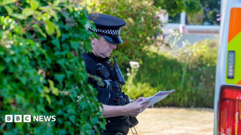 Ann Widdecombe murder probe: What we know so far Ann Widdecombe murder probe: What we know so far