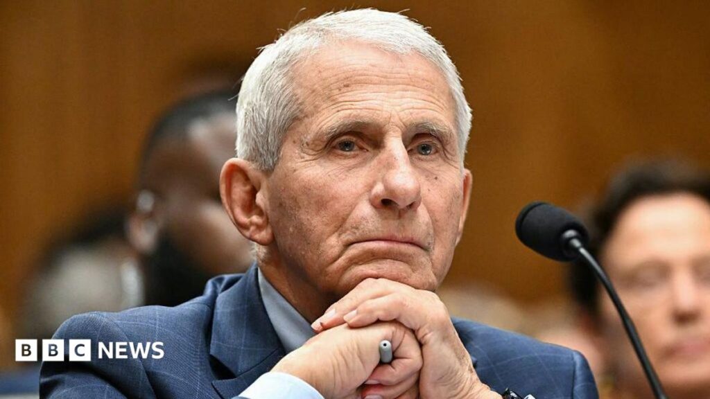 Anthony Fauci refuses to answer questions during US Senate hearing about Covid origins Anthony Fauci refuses to answer questions during US Senate hearing about Covid origins