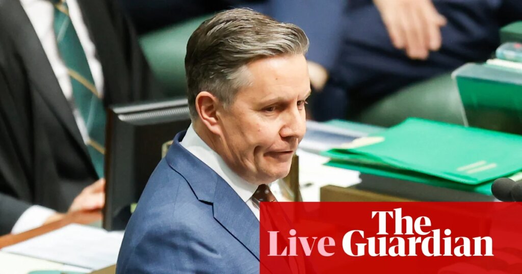 Australia news live: Mark Butler ridicules Pauline Hanson’s NDIS claims on UK far-right activist’s podcast | Australia news