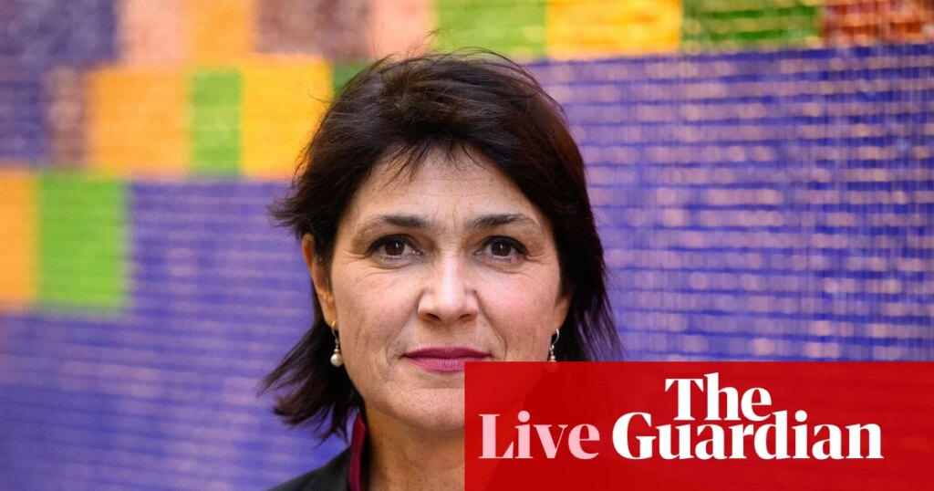 Australia news live: sex discrimination commissioner condemns Hanson’s DV comments; Macquarie CEO announces retirement | Australia news