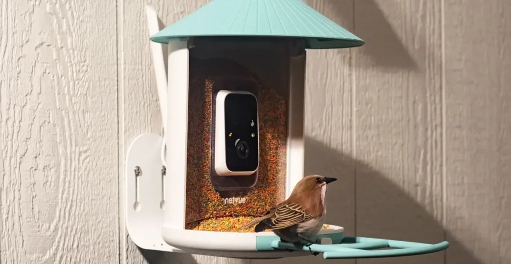Birdfy’s solar-powered smart feeder is down to one of its best prices Birdfy’s solar-powered smart feeder is down to one of its best prices