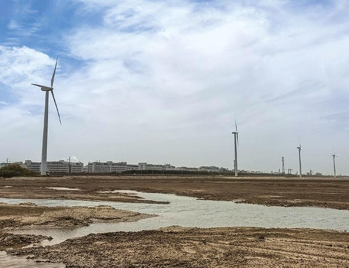 China’s cordgrass removal increases erosion | Science China’s cordgrass removal increases erosion | Science