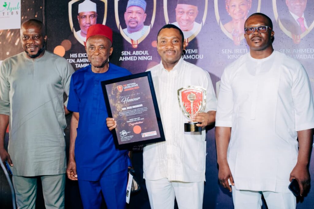 Dozie Nwankwo Bags National Legislative Excellence Award – THISDAYLIVE