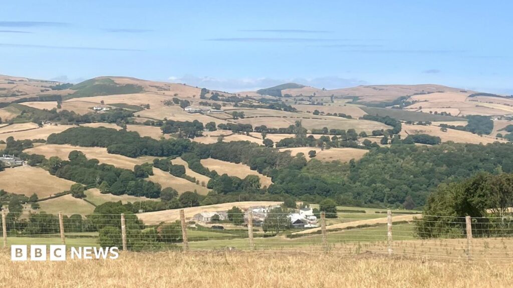 Drought announcement looms for parts of Wales over river levels Drought announcement looms for parts of Wales over river levels