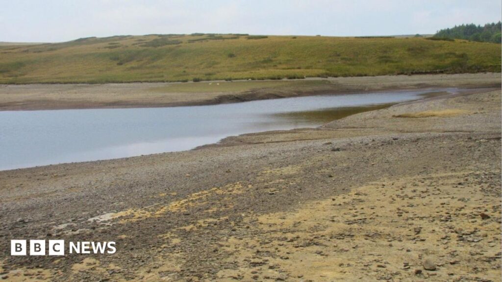 Drought declared for whole of Wales amid sustained high temperatures