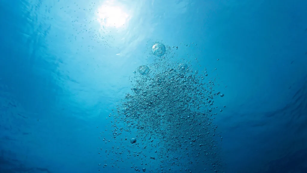 Earth’s waters are quietly running out of oxygen, scientists warn Earth’s waters are quietly running out of oxygen, scientists warn