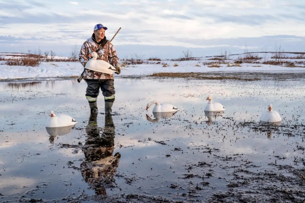 Evocative photos of Canadian Arctic win New Scientist Editors Award