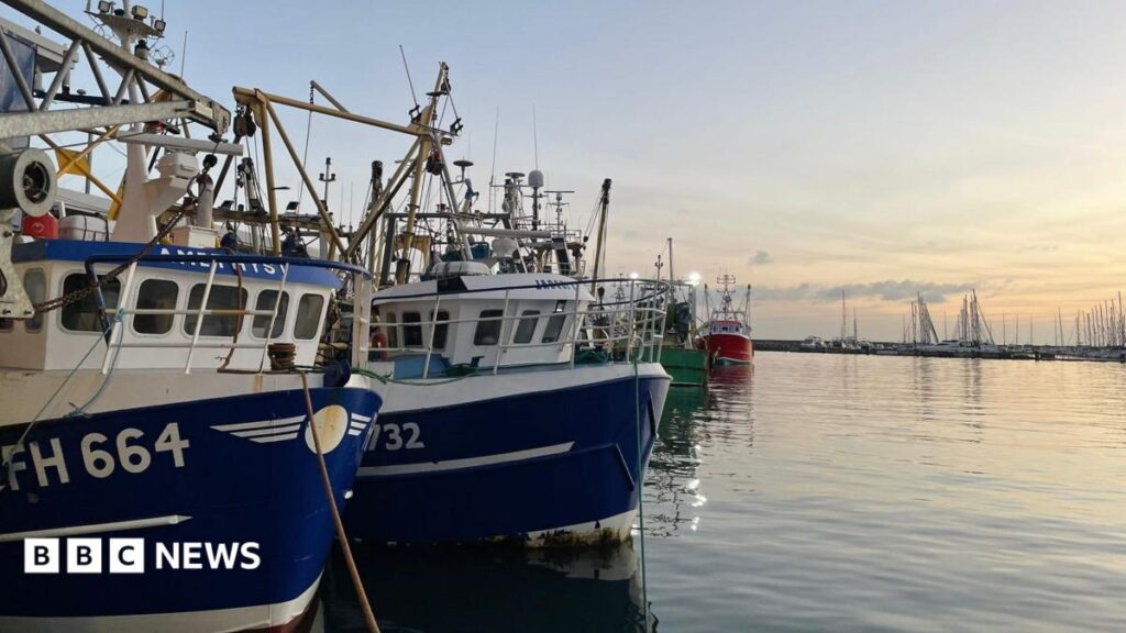 ‘Extreme’ marine heatwave expected for parts of UK with risk to sea life