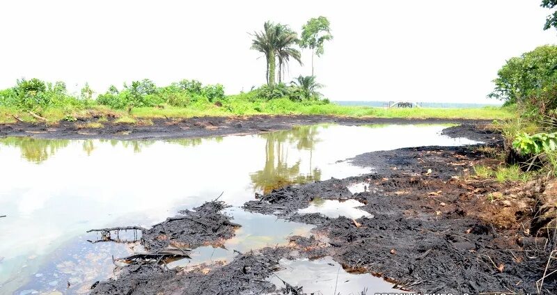FG to address gas contamination in Niger Delta community FG to address gas contamination in Niger Delta community