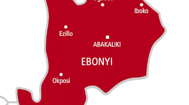 Farmers seek transparent distribution of farm inputs in Ebonyi Farmers seek transparent distribution of farm inputs in Ebonyi