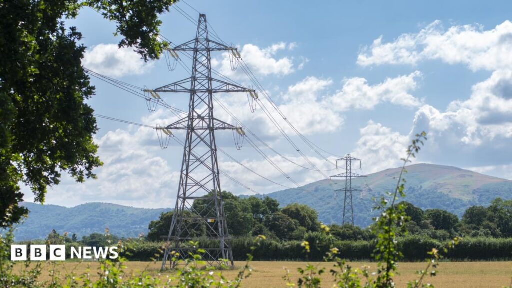 Farmers ‘vindicated’ after ruling to Green Gen Cymru pylon firm Farmers ‘vindicated’ after ruling to Green Gen Cymru pylon firm