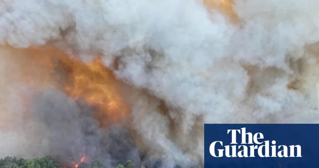 Fire bomber planes battle Fointaineblue forest blaze near Paris | Wildfires