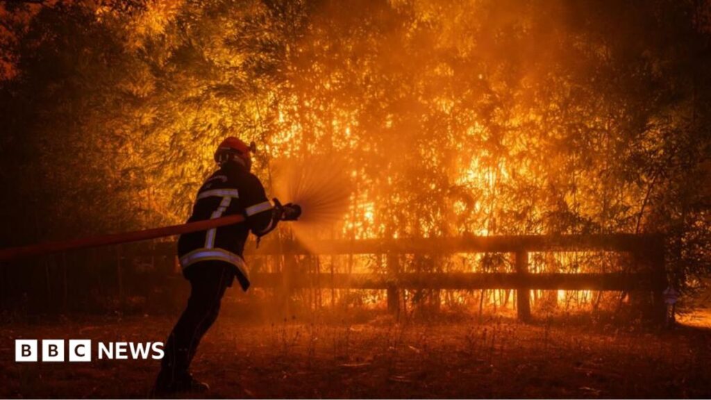 France and Spain fires: Macron calls crisis meeting as wildfires threaten Bordeaux