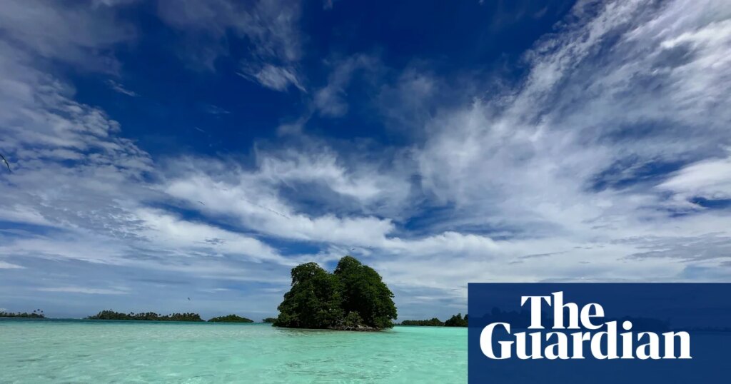 Fungi: the invisible force protecting our planet – podcast | Fungi