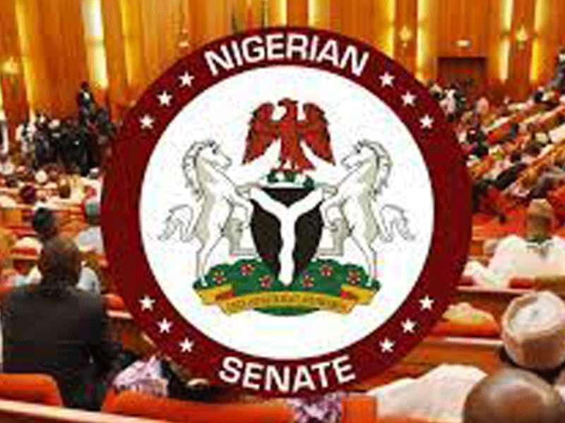 Go After Other Bandits, Terrorists Nationwide, Senate Charges FG – THISDAYLIVE Go After Other Bandits, Terrorists Nationwide, Senate Charges FG – THISDAYLIVE