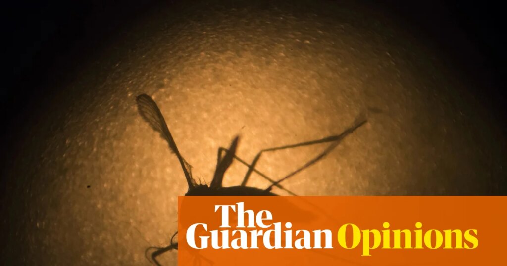 Google wants to release 32 million sterile mosquitoes. Our Australian tests offer a valuable lesson | Nigel Beebe for the Conversation Google wants to release 32 million sterile mosquitoes. Our Australian tests offer a valuable lesson | Nigel Beebe for the Conversation