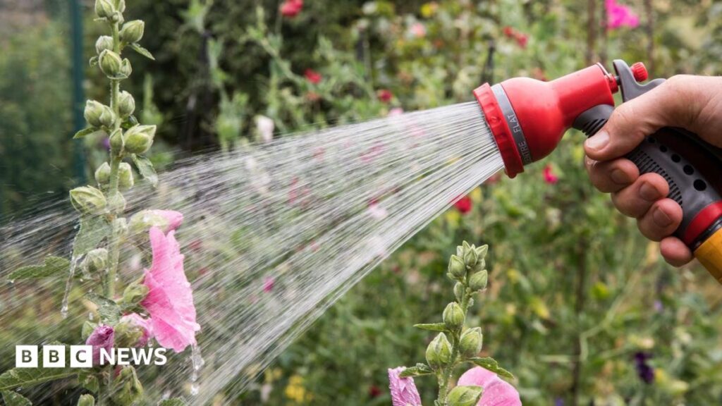 Hosepipe ban in force for millions of households – is your area affected? Hosepipe ban in force for millions of households – is your area affected?