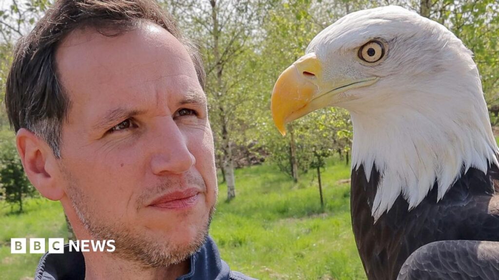 How Kynren bird show hopes to help endangered species How Kynren bird show hopes to help endangered species
