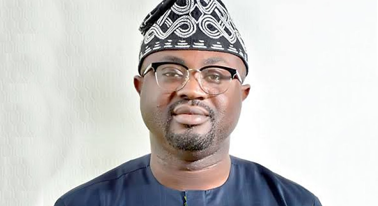 How Olubunmi Tunji-Ojo Emerged as Ondo’s Most Influential Political Force – THISDAYLIVE How Olubunmi Tunji-Ojo Emerged as Ondo’s Most Influential Political Force – THISDAYLIVE