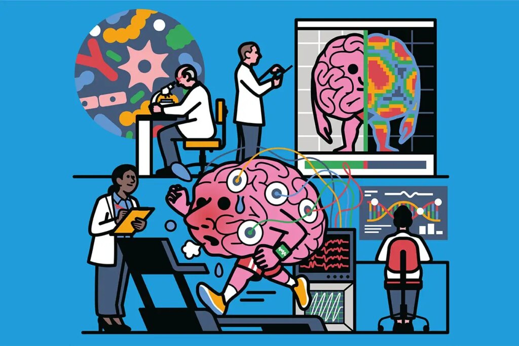 How healthy is your brain? We now know how to find out