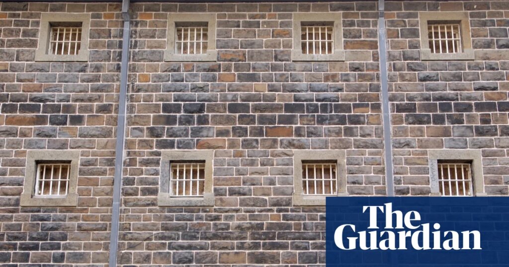 Lack of safeguards over prisoners’ early release puts abuse victims at risk, Lammy warned | UK criminal justice
