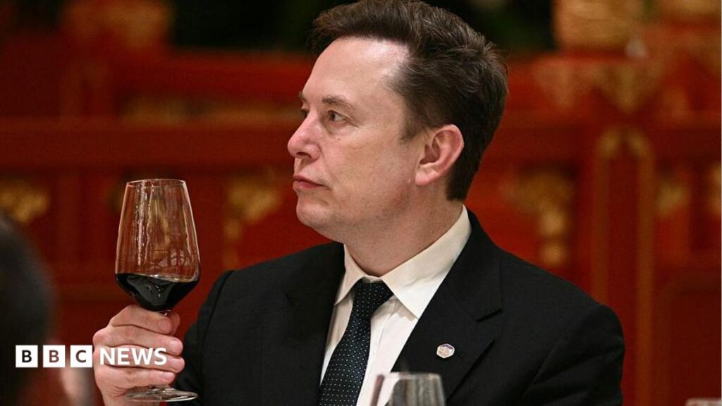 ‘Let’s enjoy the ride’ says Elon Musk, as AI risk concerns mount ‘Let’s enjoy the ride’ says Elon Musk, as AI risk concerns mount