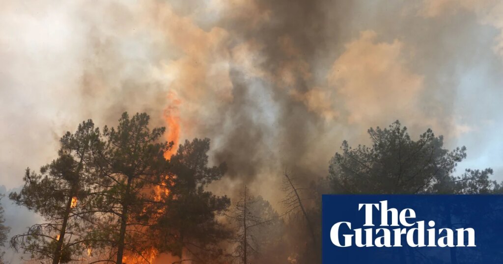 More than 250,000 people flee wildfires in France and Spain | Wildfires