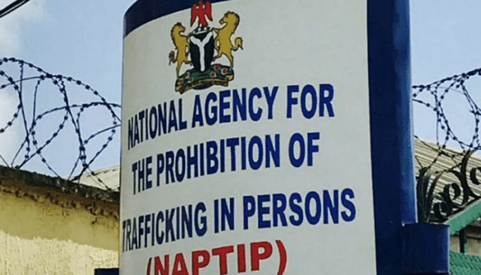 NAPTIP urges stakeholder collaboration as 7 Rivers LGAs register surge in human trafficking  – Businessday NG