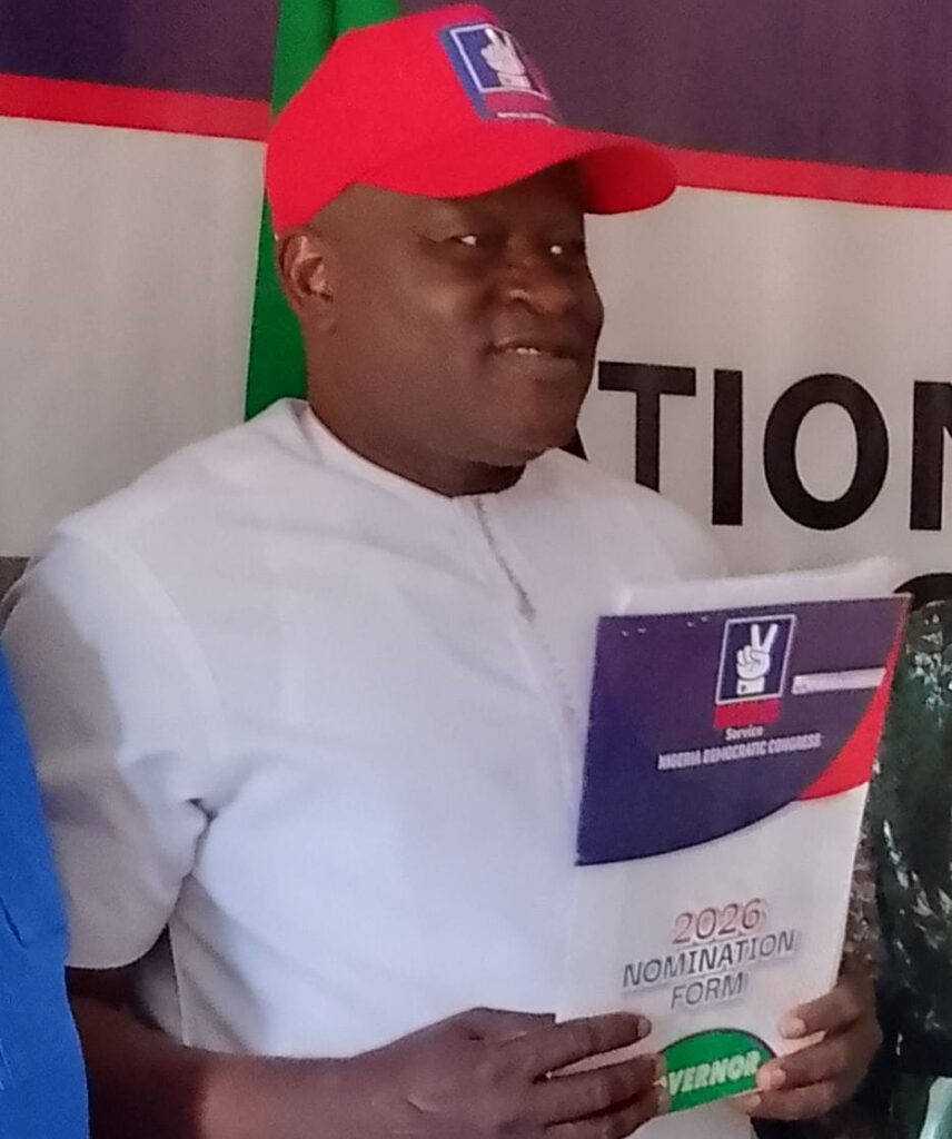 NDC Guber Candidates Submit Nomination Forms, Promise Security, Industrialisation, Good Governance – THISDAYLIVE